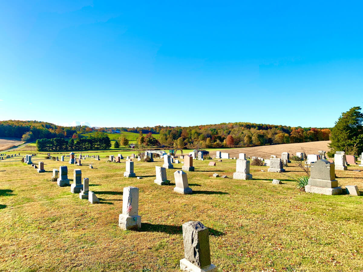 Environmental Impact of Burial Funerals, What Funeral Homes Don't Want 1 Environmental Impact of Burial Funerals
