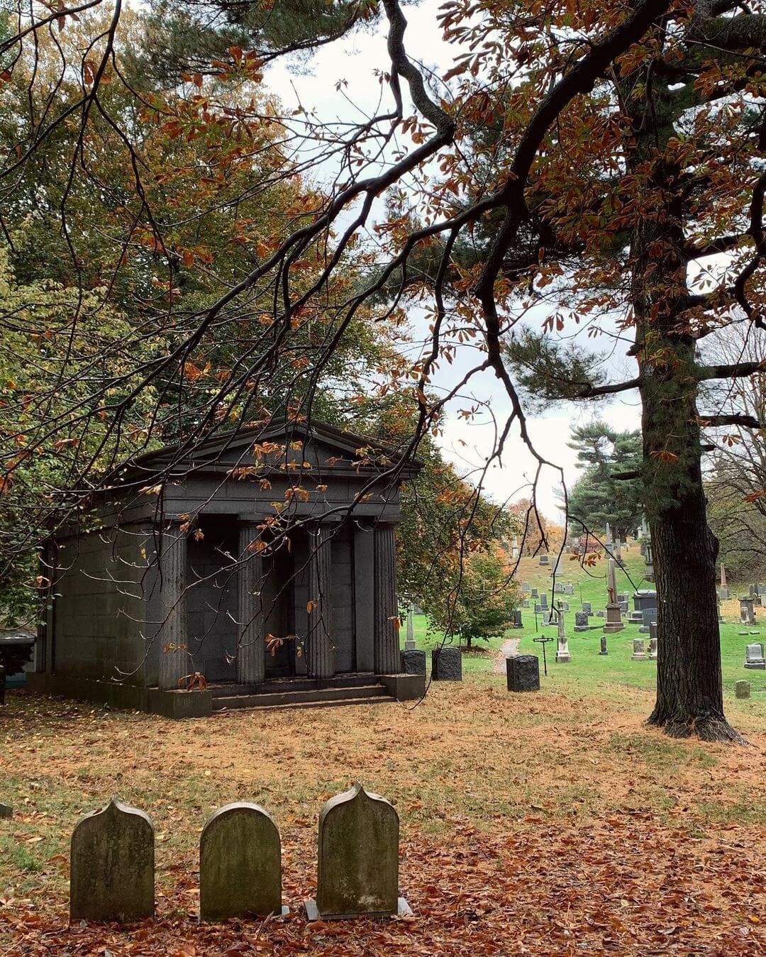 10+ Ideas on Where to Put Ashes From Cremation Safe Passage