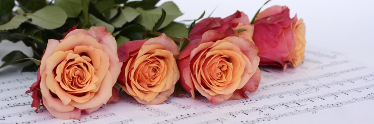 5+ Cremation Urn Display Table Ideas | Safe Passage