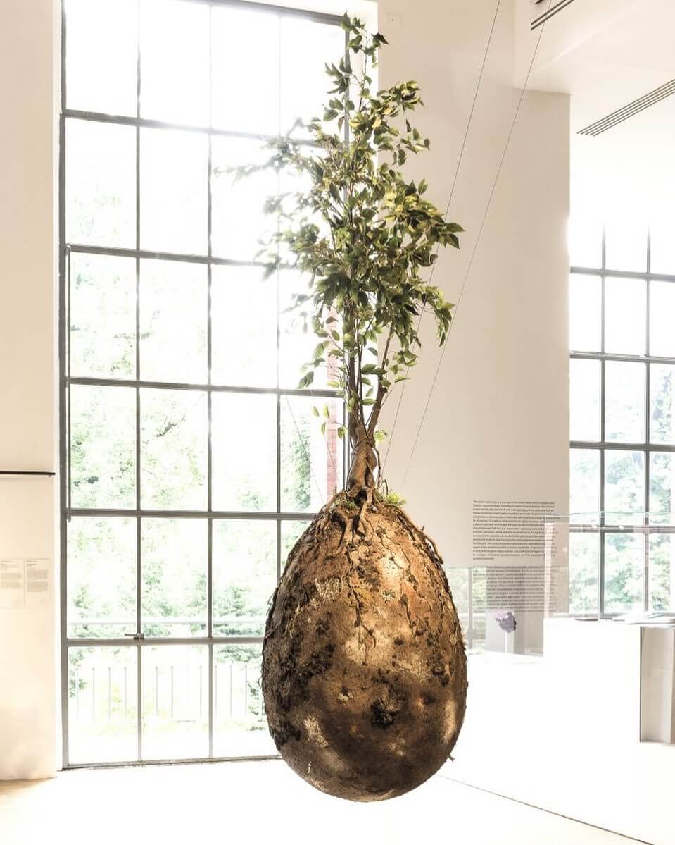 10 alternatives to traditional burial 3