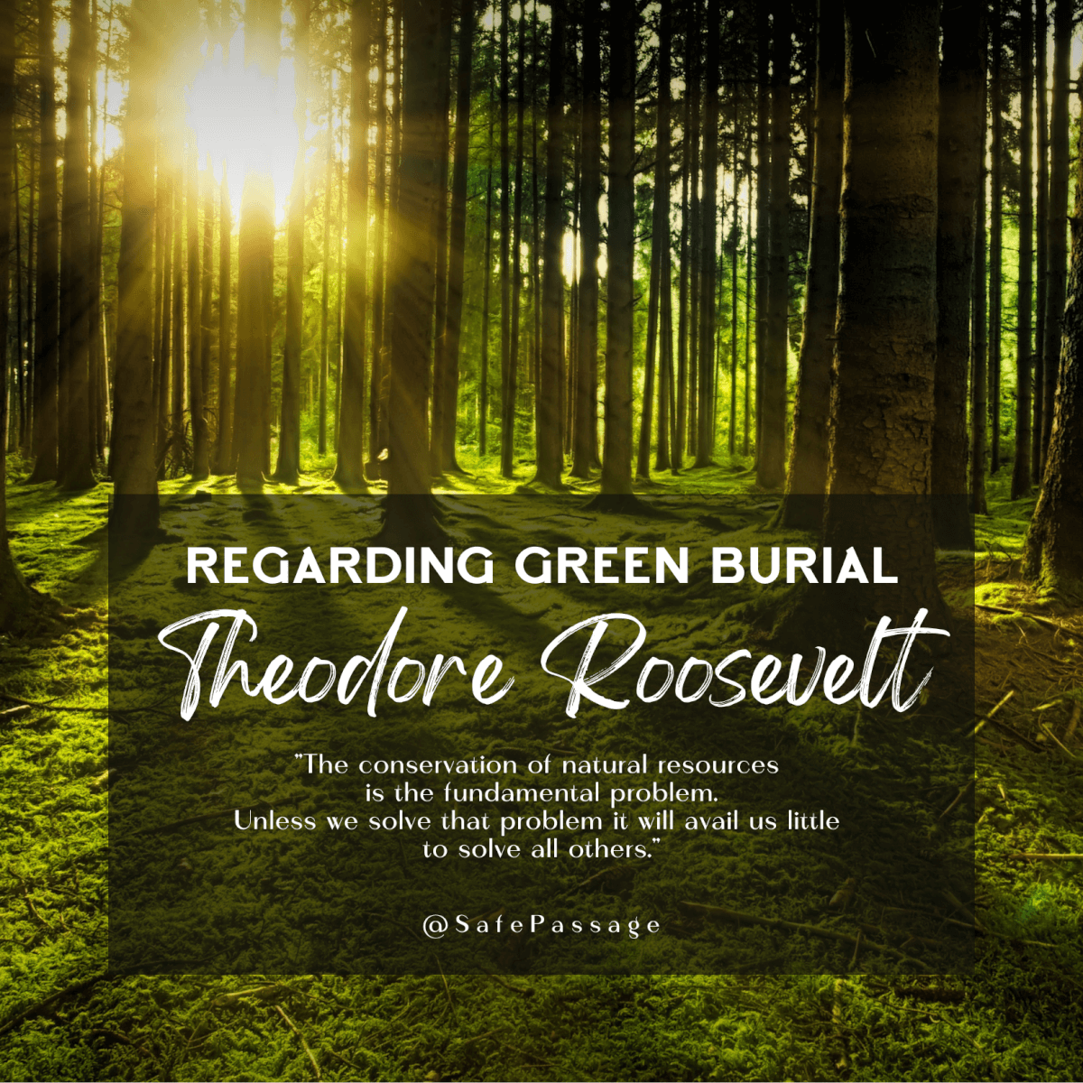 Pine Box Caskets 101 Costs, Customizations, Tips