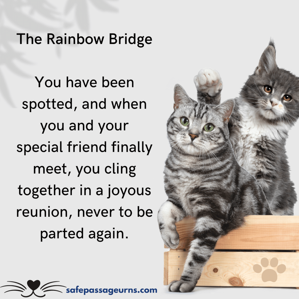 My Pet Died And I Can't Stop Crying 1 15 touching pet loss quotes and poems 15