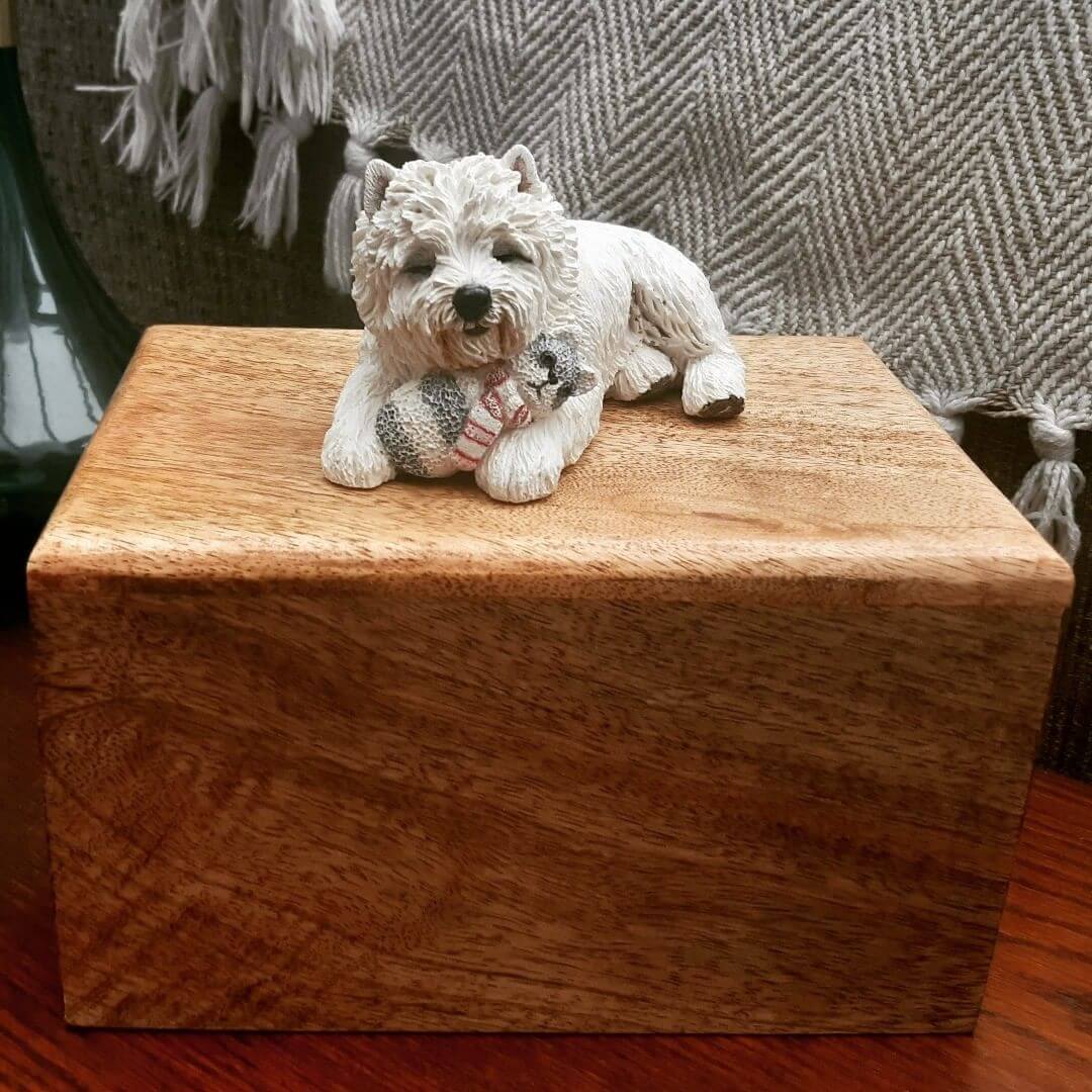 How Long Does Cremation Take? 4Step Process Safe Passage