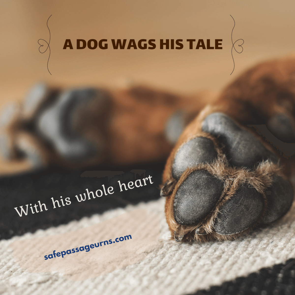 my pet died and i can t stop crying 4