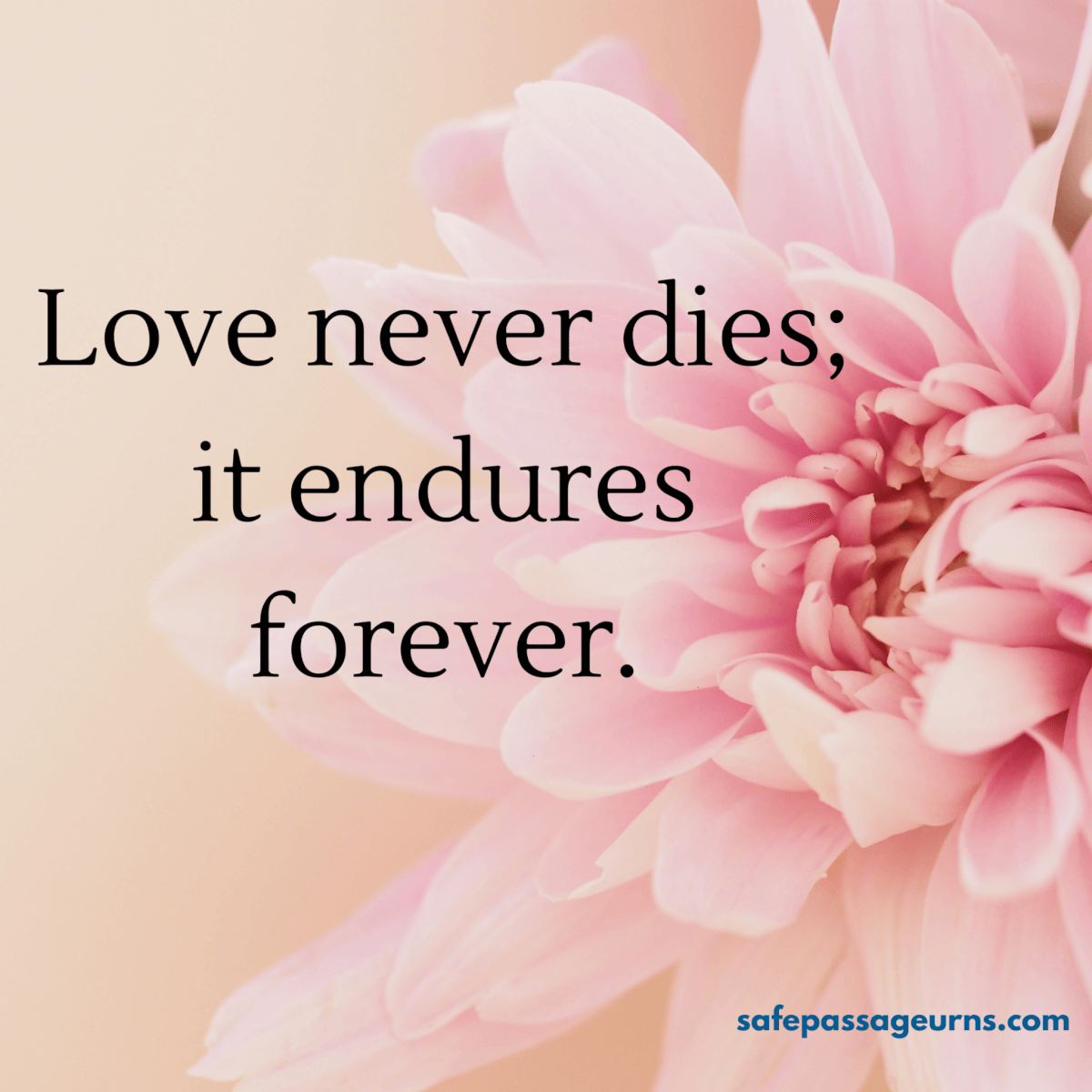 what to write on funeral flowers funeral card etiquette 3